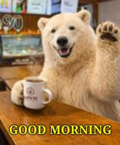 06:36:29 GMT-0500
