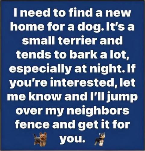 new-home-for-dog