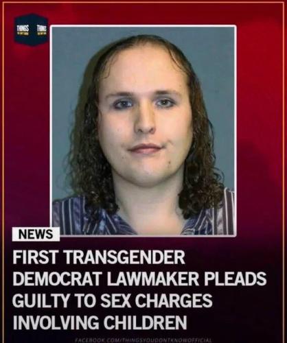 2tst-tg-lawmaker-child-sex-charges