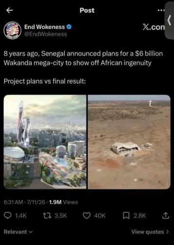 wakanda-megacity