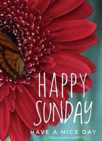 happy sunday