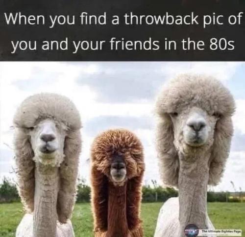 you-and-friends-80s