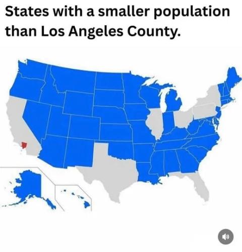 electoral college