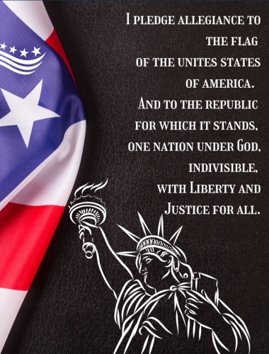 pledge 88