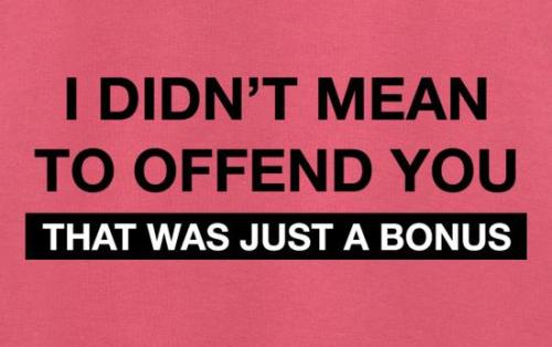 didn't-mean-to-offend-you