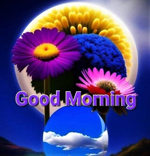 071126 - GM flowers-Moon