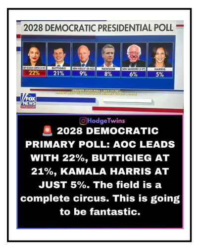 primary poll