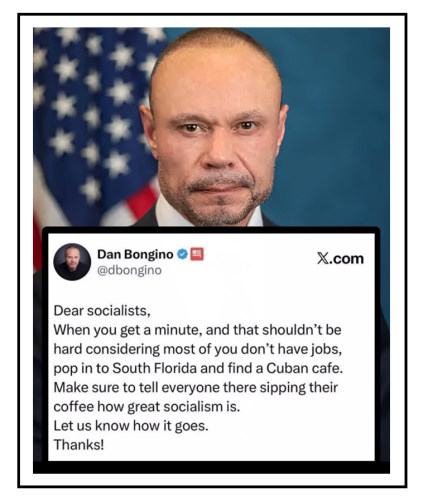dear socialists