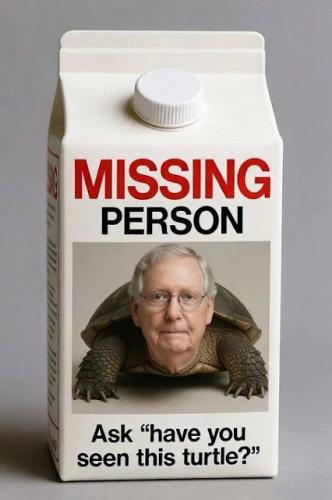 have-you-seen-this-turtle