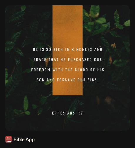 unnamed-332