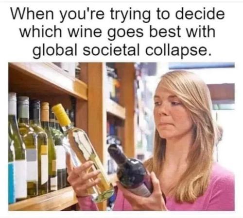 which-wine