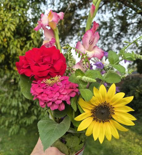 todays flowers july 20 2026