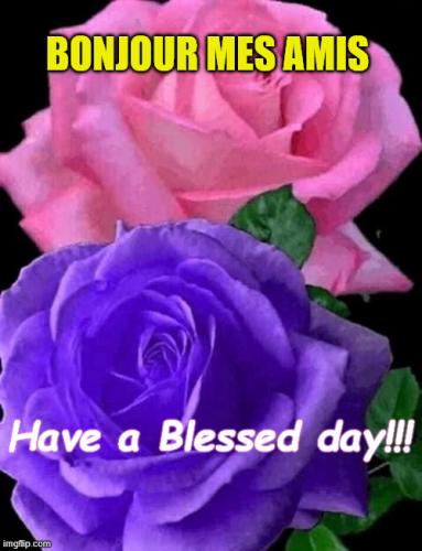 Bonjour mes amis