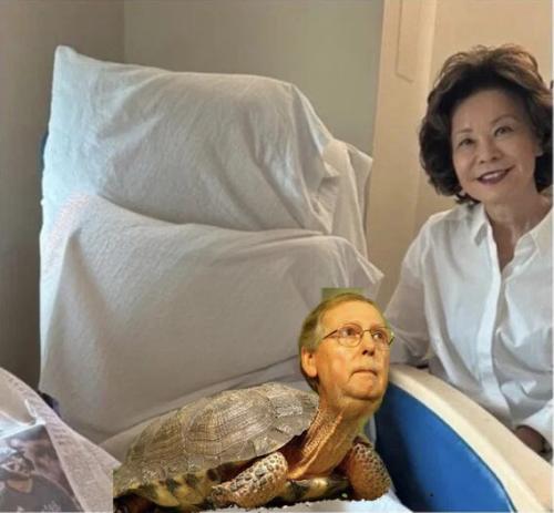 mitch-elaine