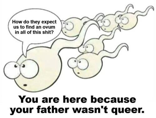 You are here because your father wasn't queer gay sperm.768px
