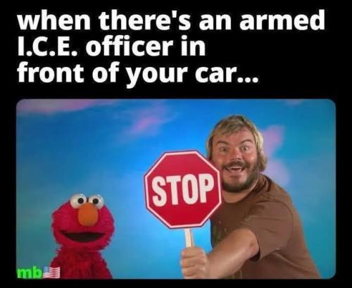 armed_ice_stop