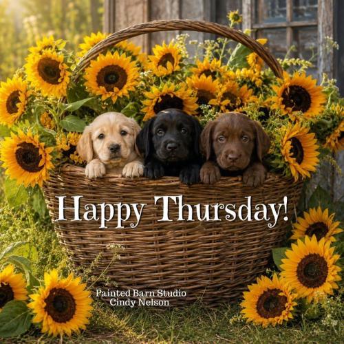 Happy Thursday