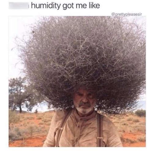 summer-memes-12-20250721