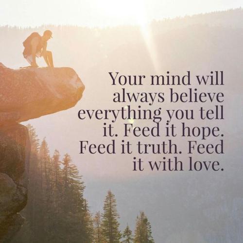 1C-Feed