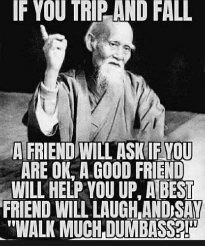 SWILL HELP FRIEND Wil TAUGE, AND SAY, WALK MUCH, DUMBASS2! - America’s best pics and videos