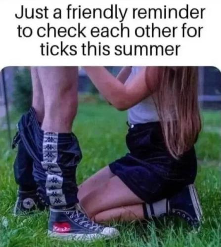 check-each-other-for-ticks