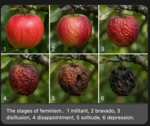 stages-of-feminism