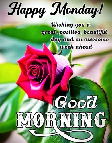 072726 - Happy Monday - Great week