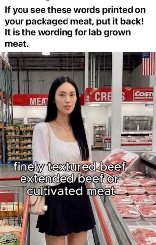 lab-meat