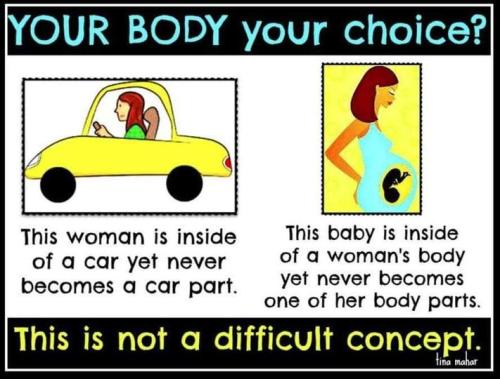 pro life 81