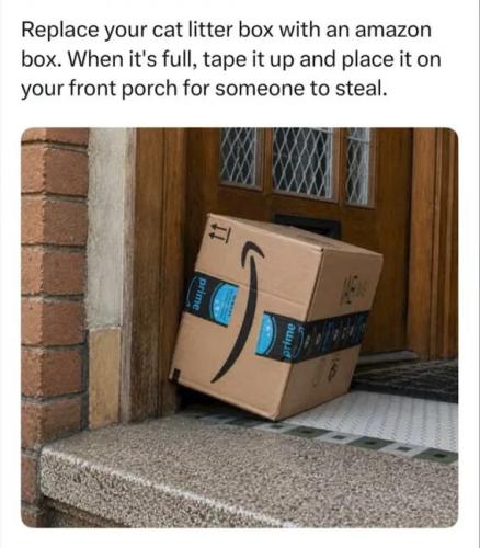 cat-litter-box-amazon-box