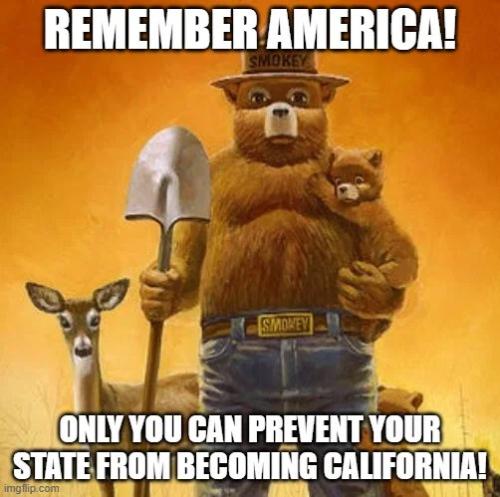 only-you-prevent-state-become-california