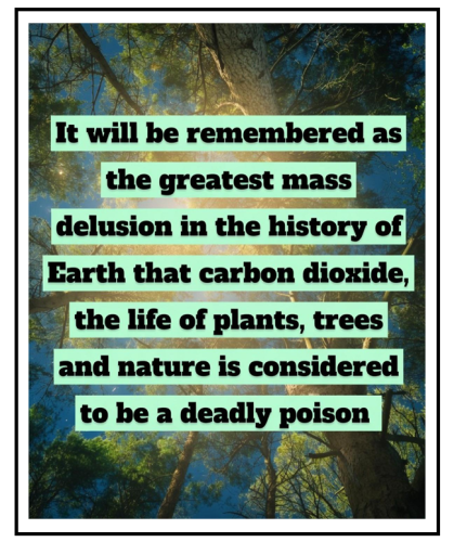 mass delusion