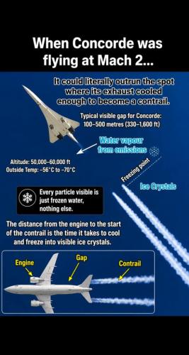 c75703fa-1beb-4d52-952b-f768ba3956f2