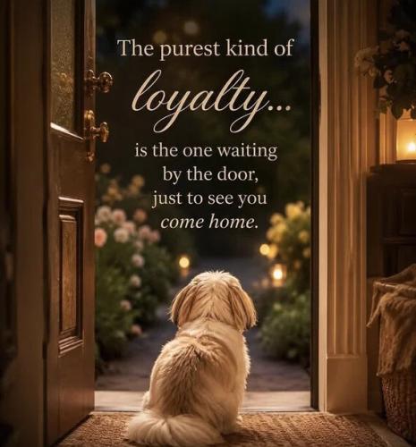 purest-kinda-loyalty