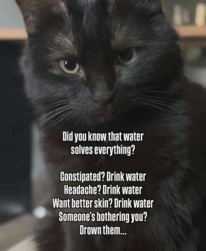 water-solves-everything