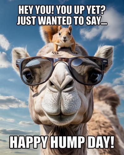 1-Happy Hump Day