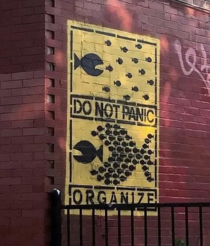 Don't Panic_Organize