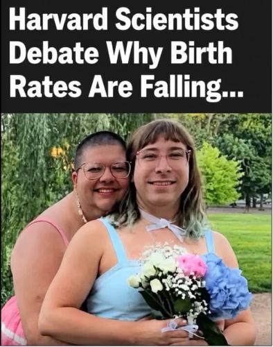 scientists-debate-falling-birthrates