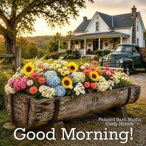 good morning