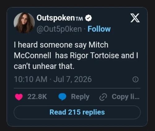 rigor-tortoise