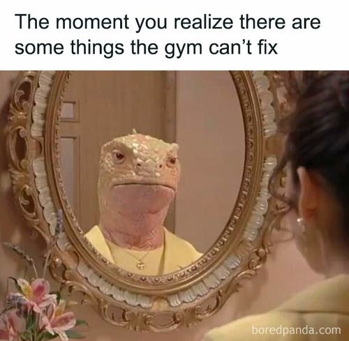 relatable-funny-memes-9-6328318479d81__700 (1)