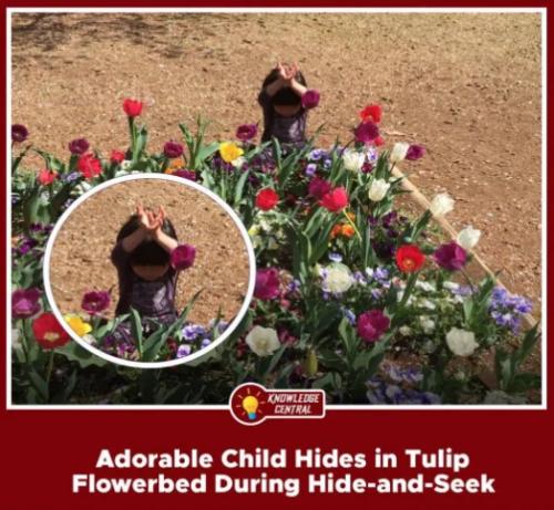 child-hide-and-seek