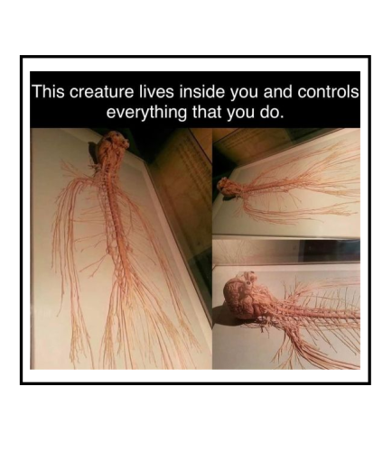 lives inside you