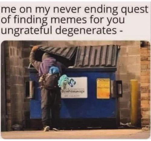 never-ending-quest-for-memes