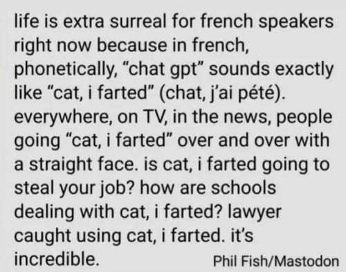 cat-i-farted