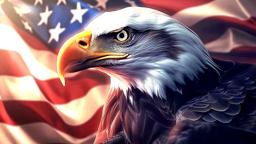 American-Eagle-with-US-Flag-55