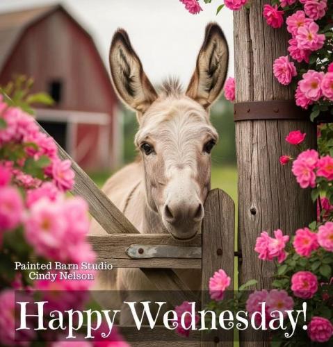 happy wednesday
