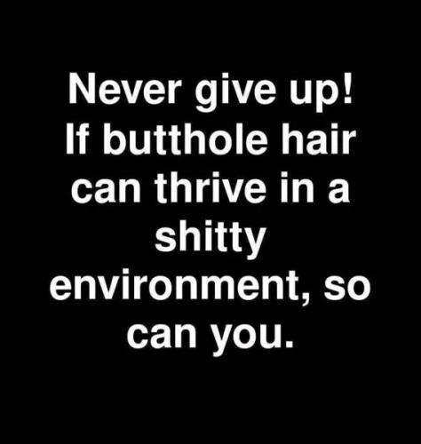 never-give-up
