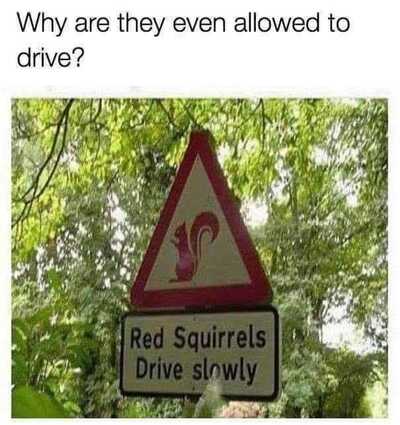 5618
