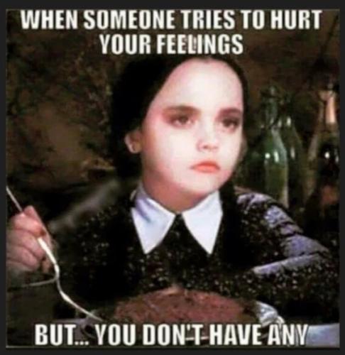 someone-hurt-your-feelings